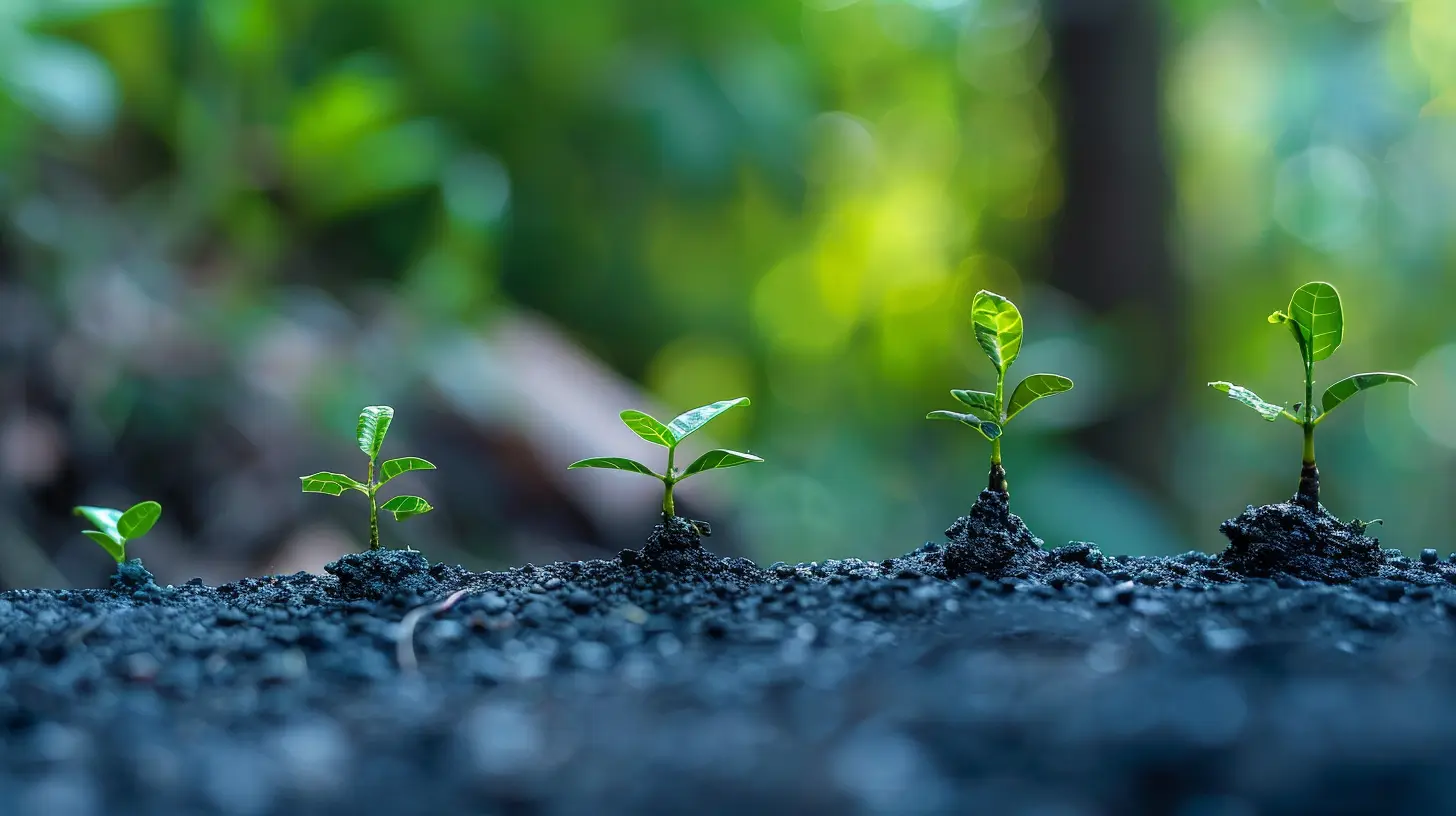 From Apprentice to Expert: Navigating Your Real Estate Career Growth