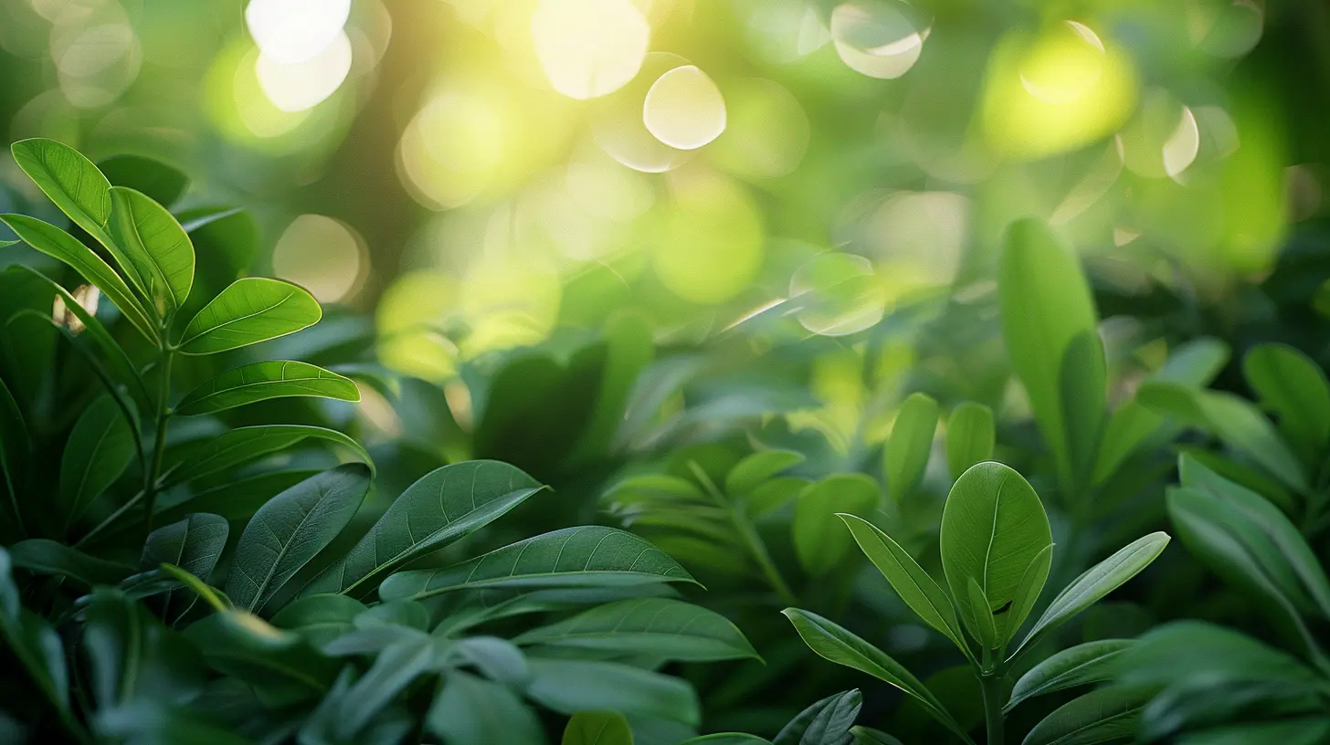 How to Use Plants and Greenery to Enhance Your Home Staging