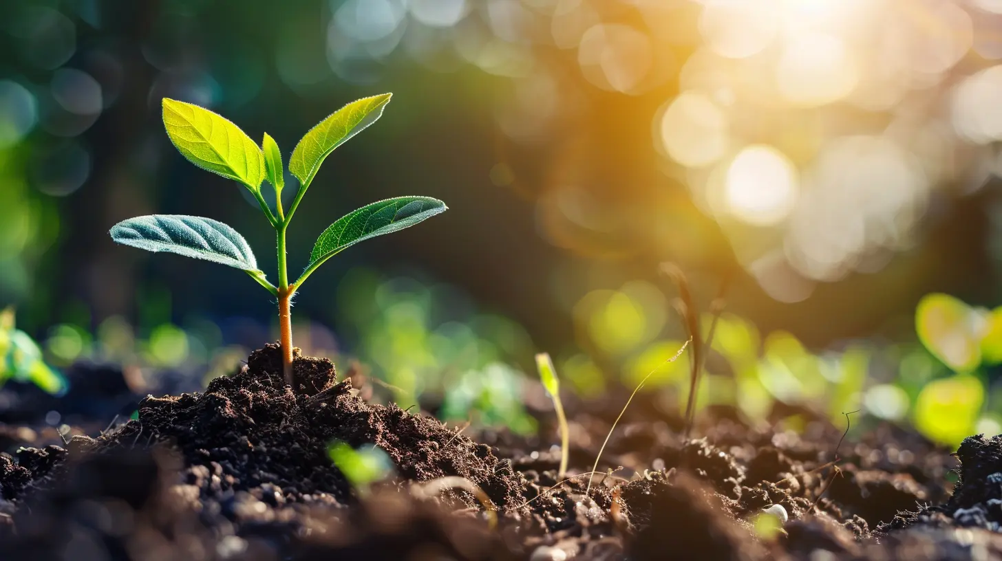Why Infrastructure Investment is Crucial for Land Development Projects