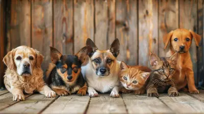 Best Practices for Managing Tenants With Pets