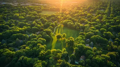 How Proximity to Parks and Trails Impacts Suburban Home Value