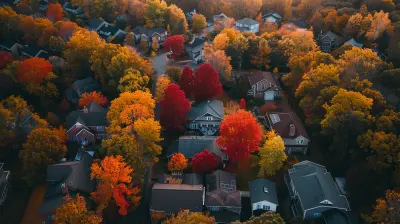 How Suburban Homes Offer the Perfect Work-Life Balance