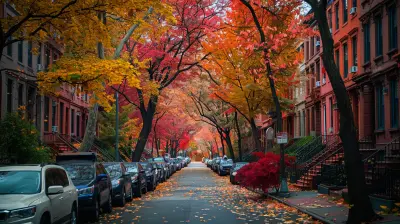 How to Adjust to Life in a New City