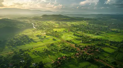 How to Bring New Life to Degraded Land Through Sustainable Development