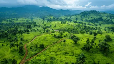 How to Bring New Life to Degraded Land Through Sustainable Development