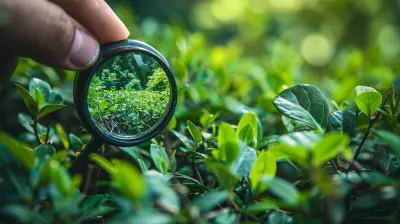 How to Conduct an Environmental Impact Assessment for Your Development