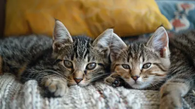 How to Make Your Home More Pet-Friendly Without Sacrificing Style