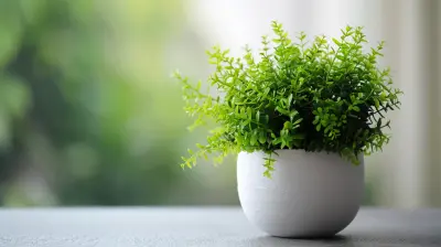How To Use Plants And Greenery To Enhance Your Home Staging