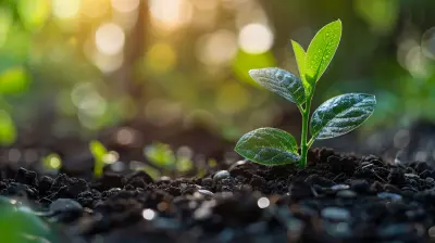 The Tax Benefits of Green Home Improvements in Real Estate