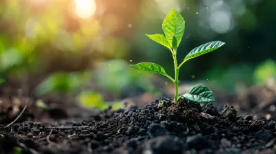 Why Infrastructure Investment is Crucial for Land Development Projects
