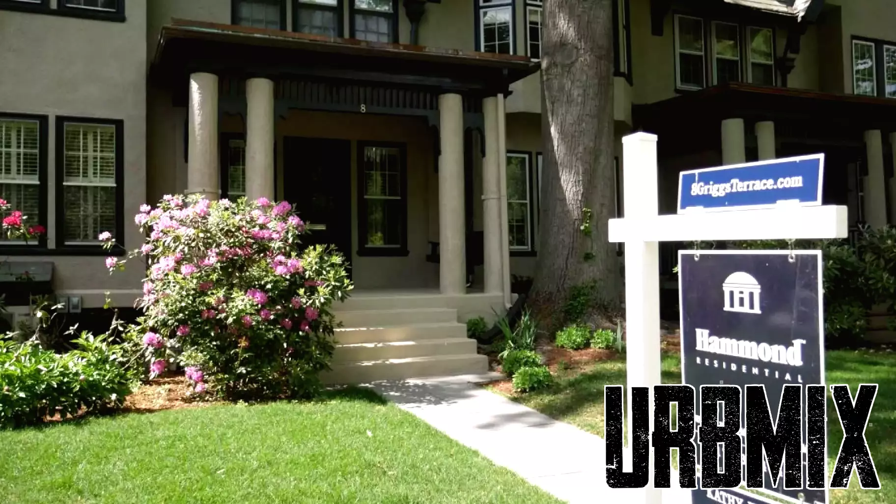 Brookline's Residential Real Estate Sales Surge in Early August