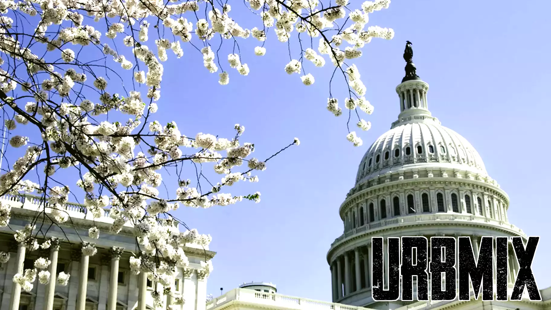 Legislative Victory: Senate Moves Forward on Major Housing Supply Bill