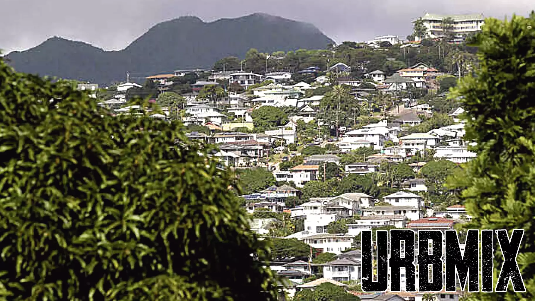 Oahu Real Estate Market Shows Buyer Advantage Despite Declining Sales