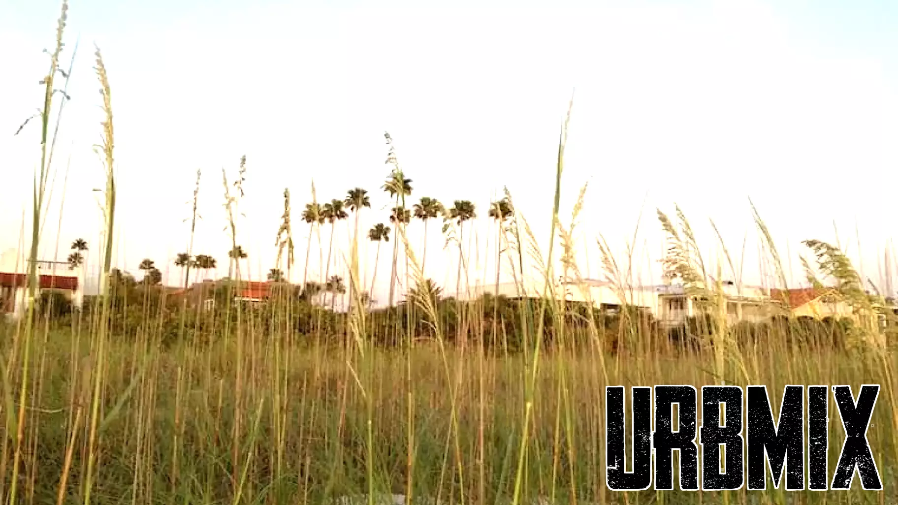 Pinellas Beaches Real Estate June 21-28