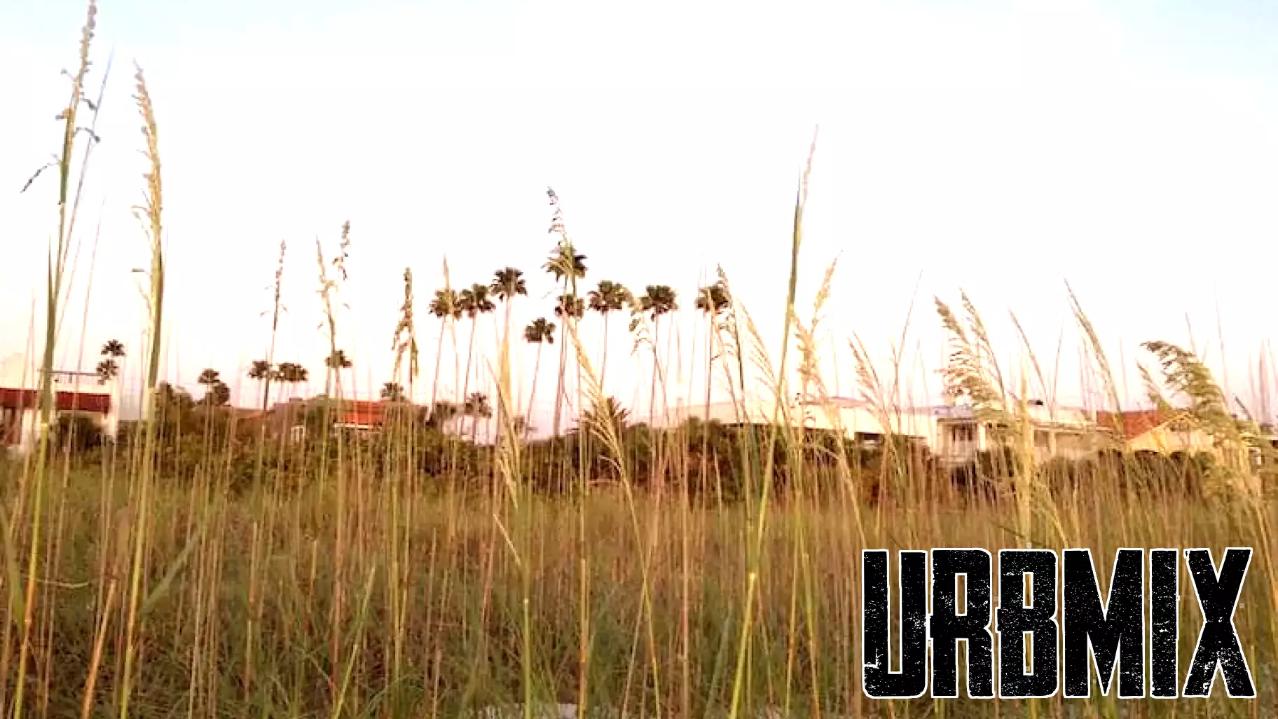 Real Estate Update for Pinellas Beaches: March 10-14