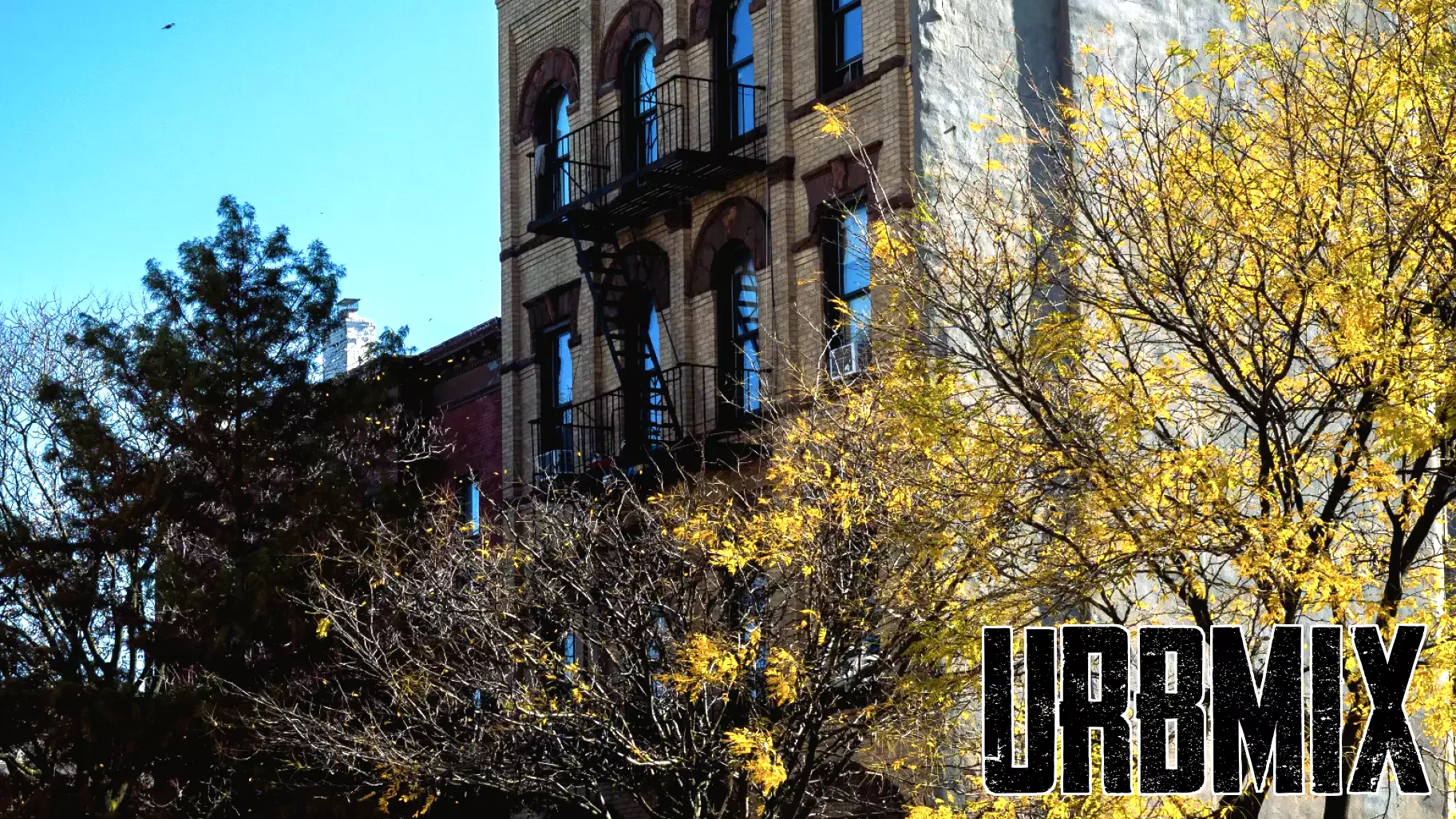 This Brooklyn neighborhood was crowned the best for 2026 home buyers—here is why