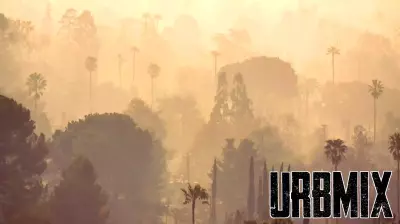 New Protections for Los Angeles Fire Victims Against Exploitative Real Estate Practices