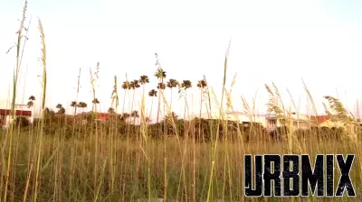 Pinellas Beaches Real Estate Update: Sales from October 27-31