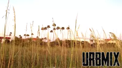 Real Estate Update for Pinellas Beaches: March 10-14